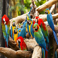Places in Malaysia: